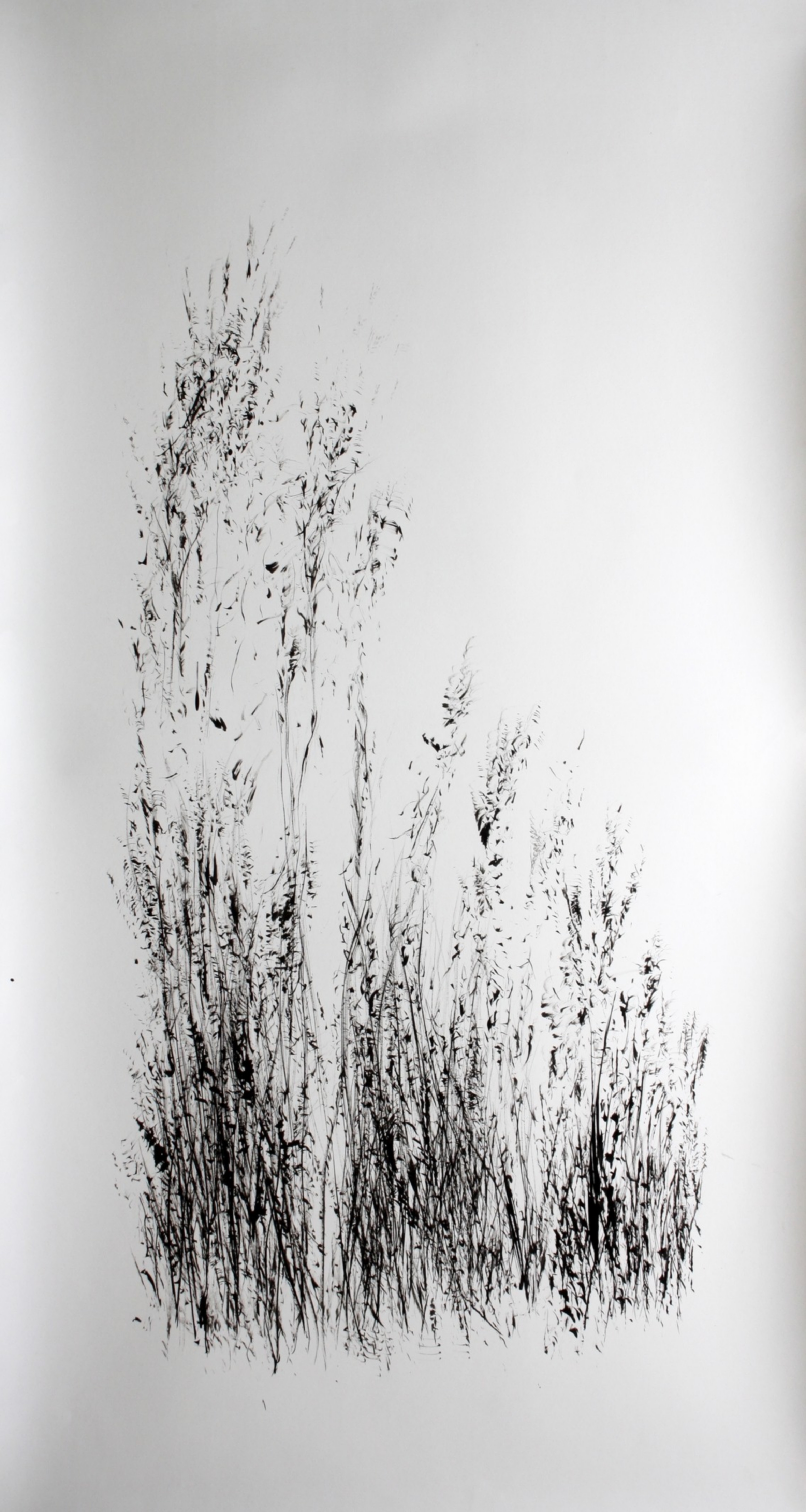 A.herbes . encre de Chine.150x80 cm .n°26 S