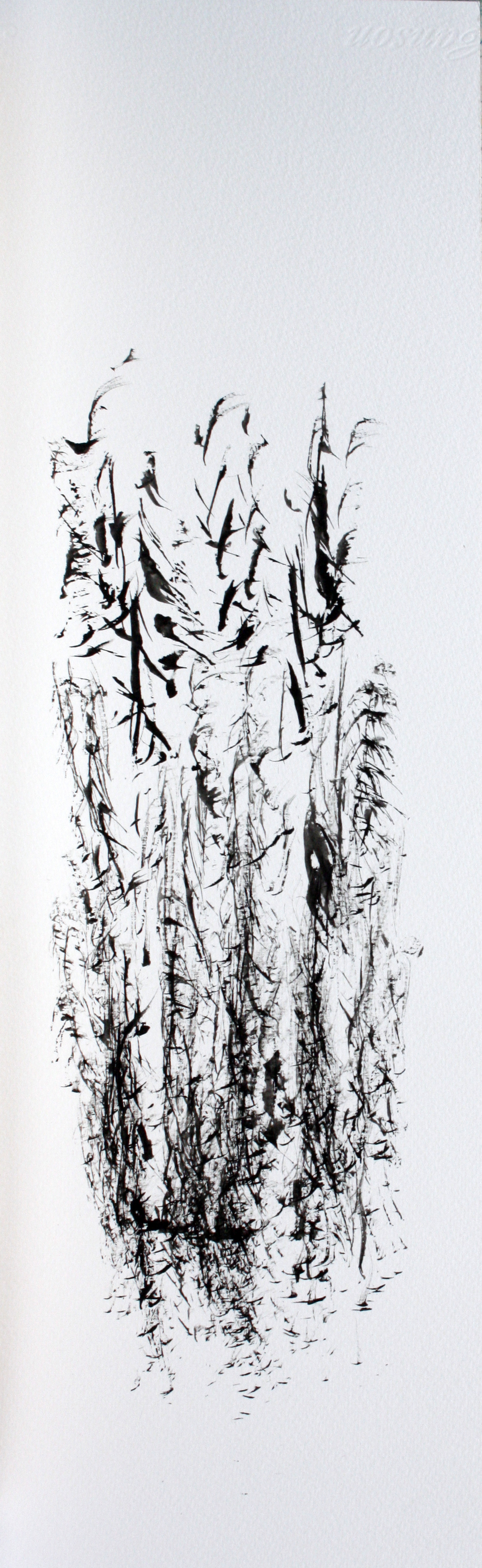 B.herbes . encre à monotype. 16x50 cm.n°1