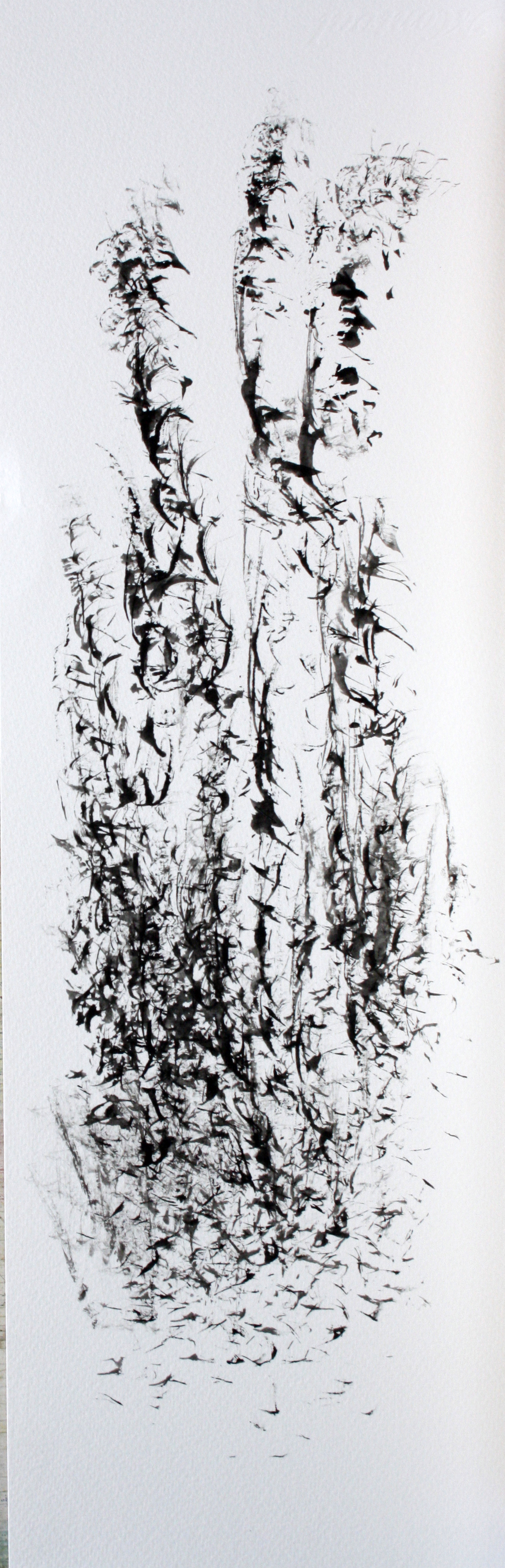 B.herbes . encre à monotype. 16x50 cm.n°2