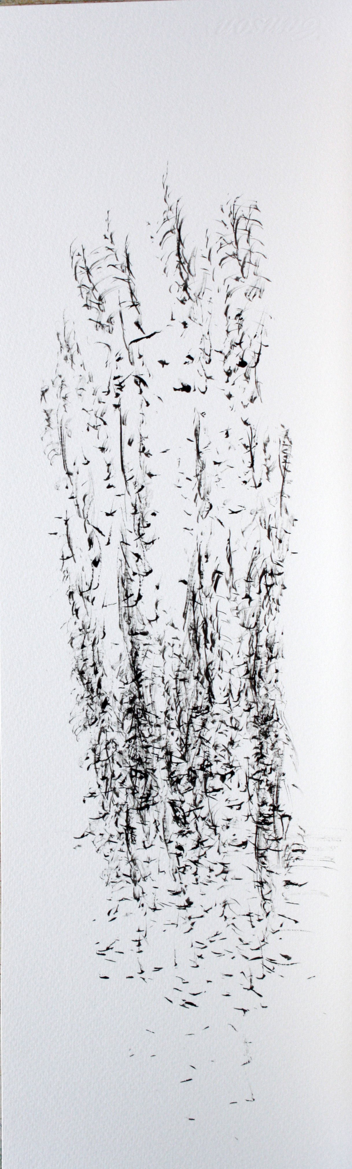 B.herbes . encre à monotype. 16x50 cm.n°3