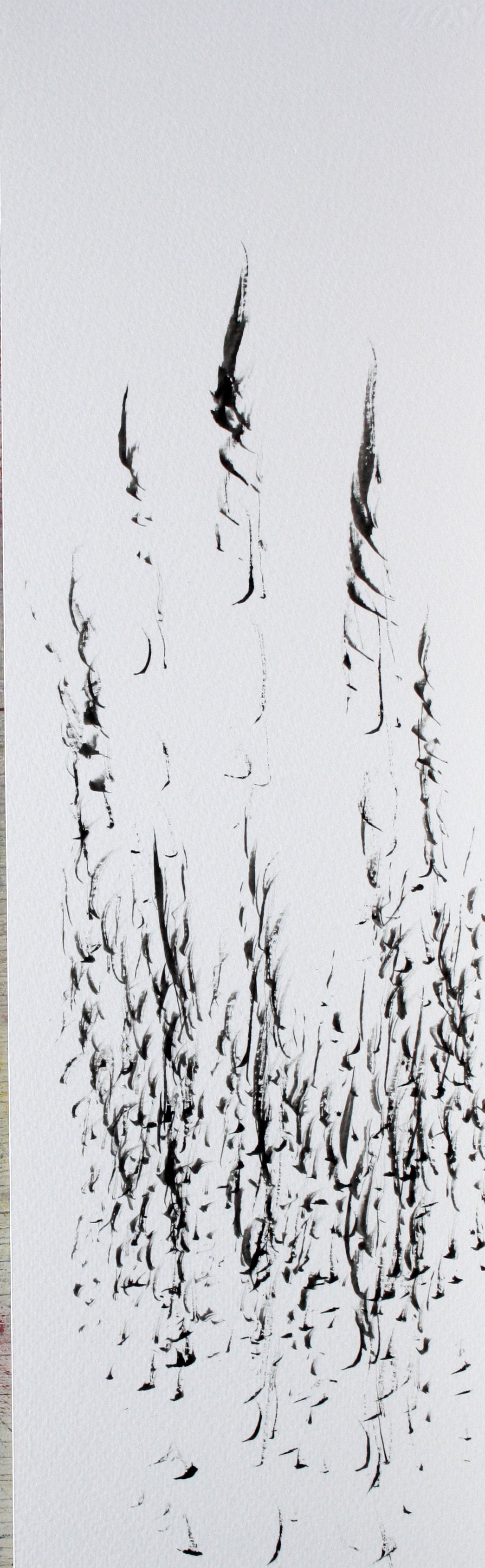 B.herbes . encre à monotype. 16x50 cm.n°4